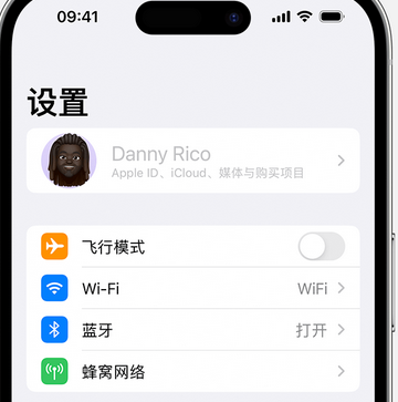 黎母山镇appleID维修服务iPhone设置中Apple ID显示为灰色无法使用 