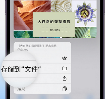 黎母山镇apple维修中心分享iPhone文件应用中存储和找到下载文件