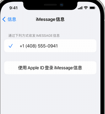 黎母山镇apple维修iPhone上无法正常发送iMessage信息 