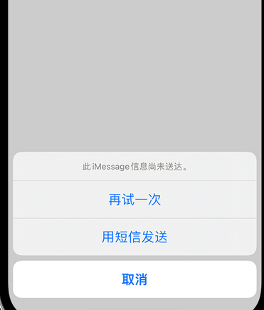 黎母山镇apple维修iPhone上无法正常发送iMessage信息