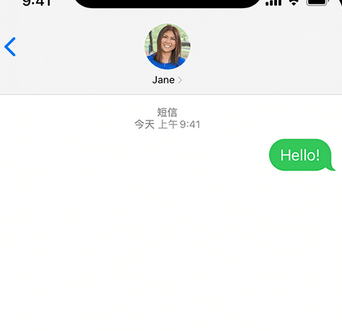 黎母山镇apple维修iPhone上无法正常发送iMessage信息