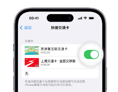 黎母山镇apple维修点分享iPhone上更换Apple Pay快捷交通卡手绘卡面 