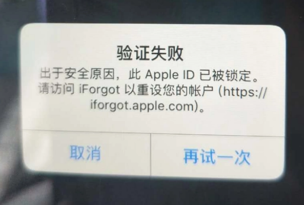 黎母山镇iPhone维修分享iPhone上正常登录或使用AppleID怎么办 