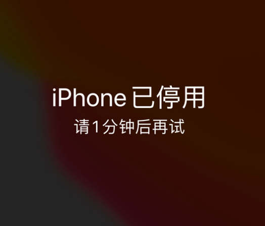 黎母山镇苹果手机维修分享:iPhone 显示“不可用”或“已停用”怎么办？还能保留数据吗？ 