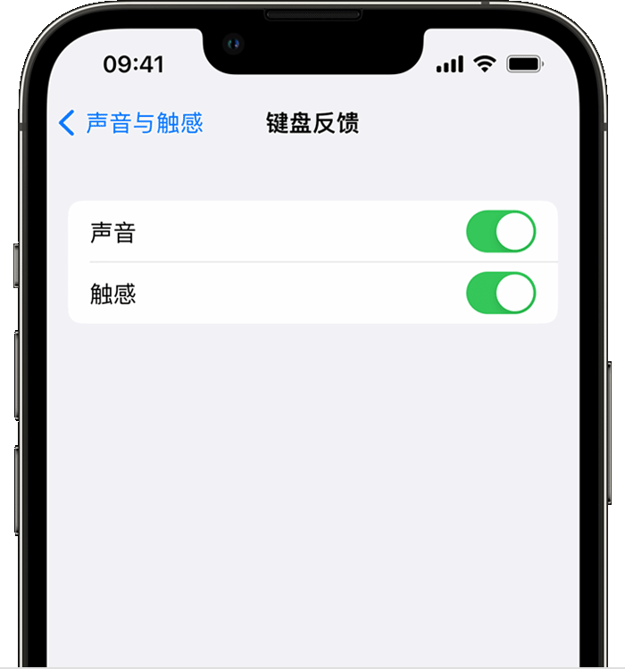 黎母山镇苹果14维修店分享如何在 iPhone 14 机型中使用触感键盘 