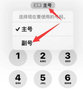 黎母山镇苹果14维修店分享iPhone 14 Pro Max使用副卡打电话的方法 