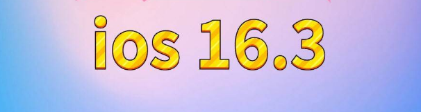 黎母山镇苹果服务网点分享苹果iOS16.3升级反馈汇总 