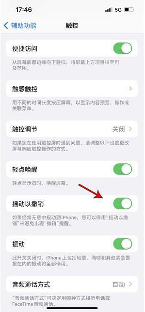 黎母山镇苹果手机维修分享iPhone手机如何设置摇一摇删除文字 