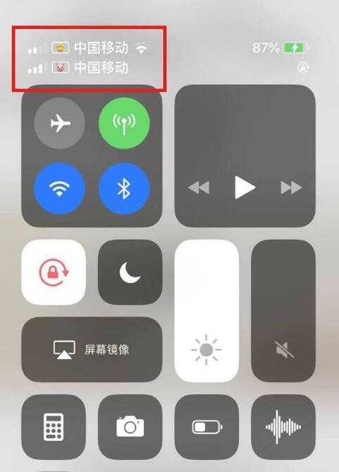黎母山镇苹果手机维修分享为 iPhone 12 双卡设置标签 