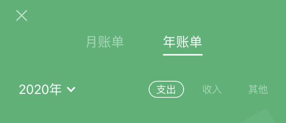 黎母山镇苹果手机维修分享如何在 iPhone 上查看支付宝和微信年支出账单 